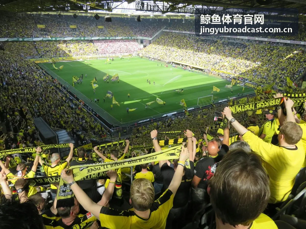 鲸鱼体育官网欧冠决赛直播画面